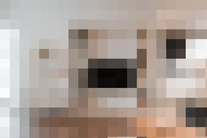 Zoutedijk 14 Kloosterzande thumbnail 7