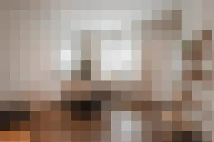 Zoutedijk 14 Kloosterzande thumbnail 9