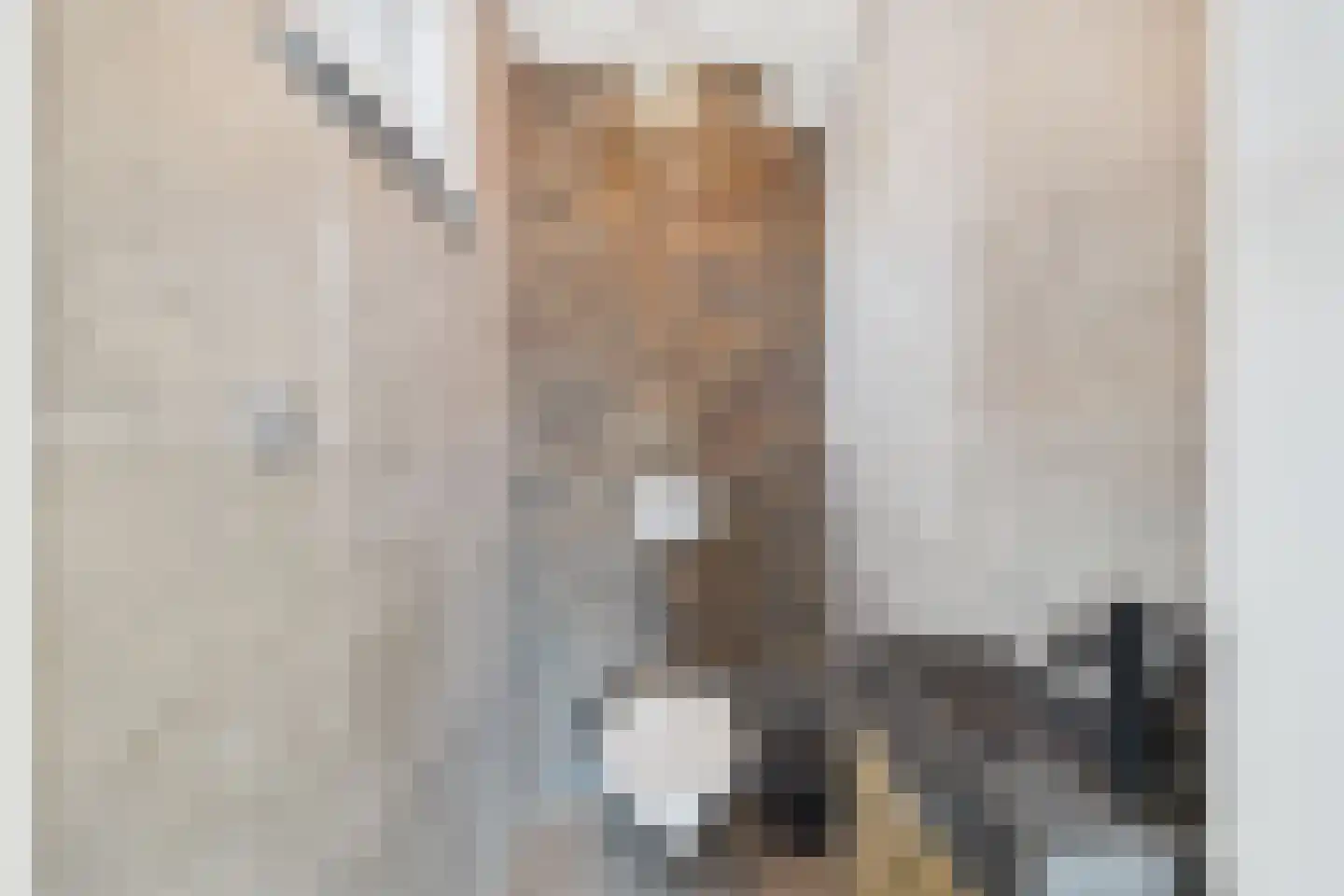 Zoutedijk 21 Kloosterzande thumbnail 10