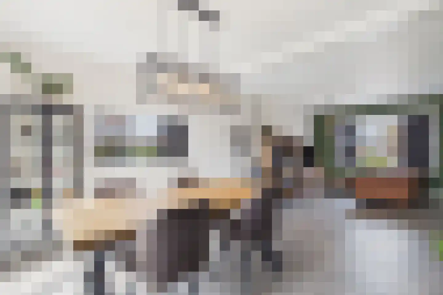 Zoutedijk 21 Kloosterzande thumbnail 13
