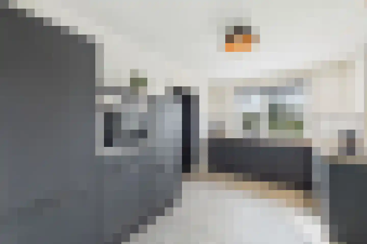 Zoutedijk 21 Kloosterzande thumbnail 17