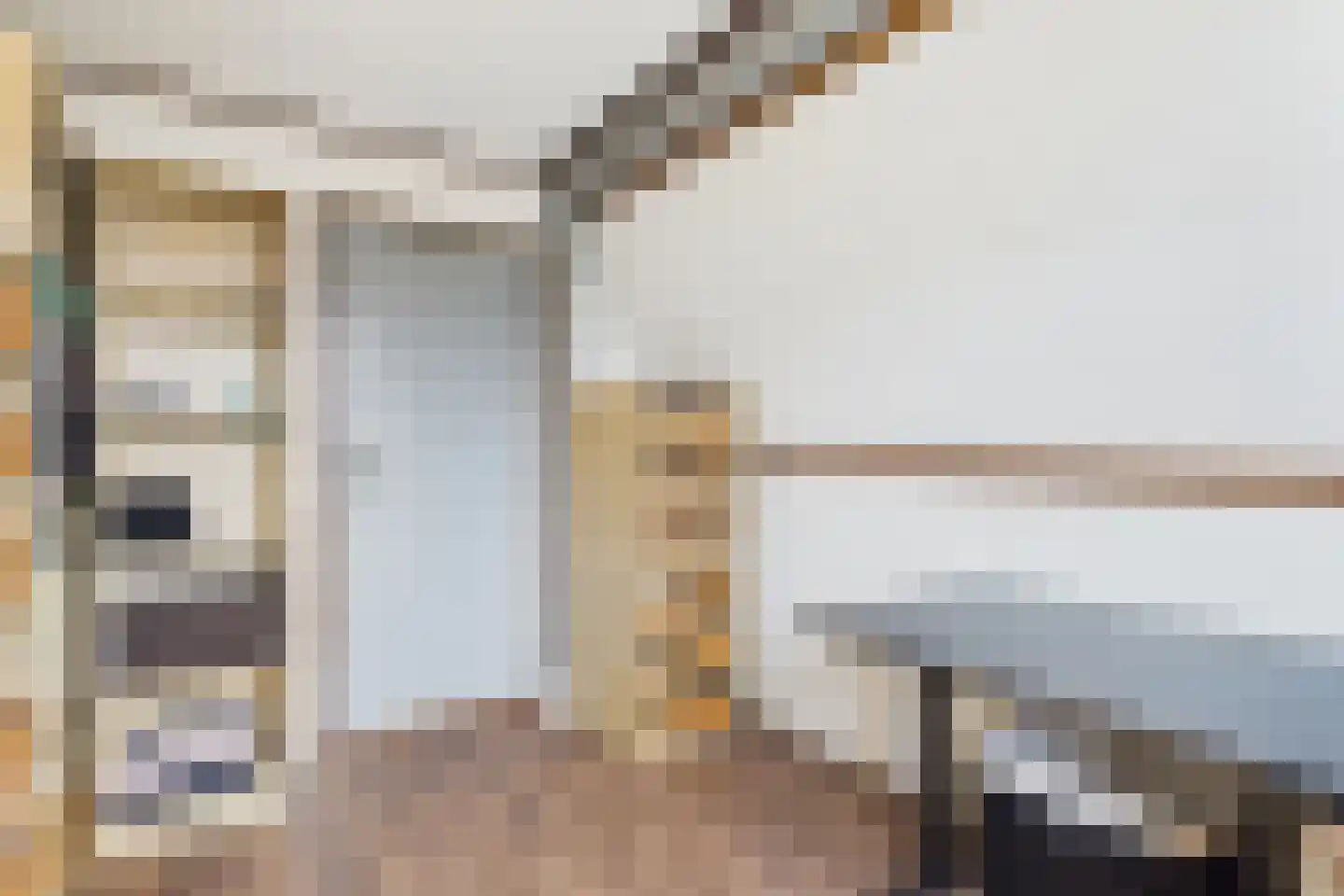 Zoutedijk 21 Kloosterzande thumbnail 20