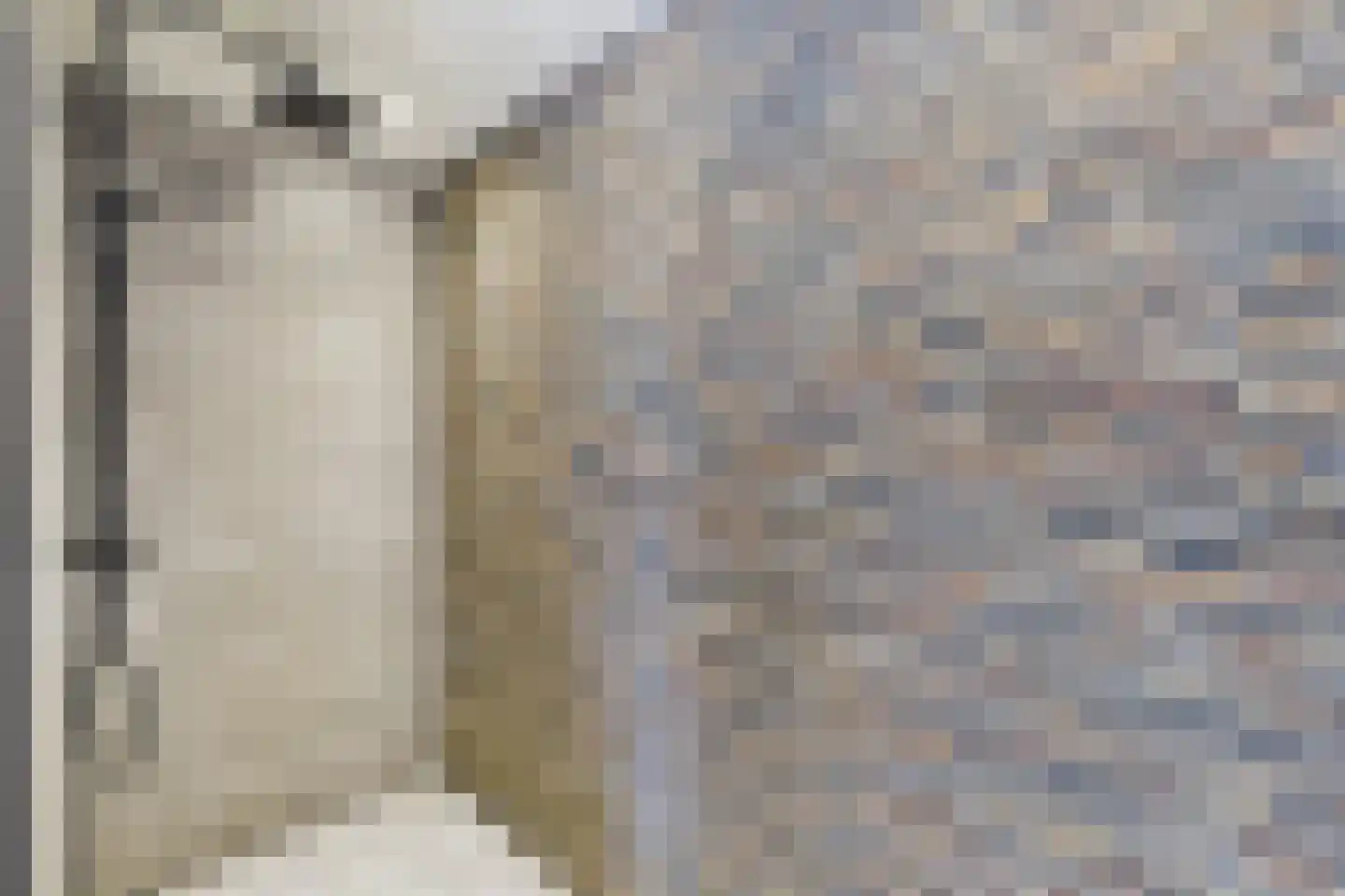Zoutedijk 21 Kloosterzande thumbnail 26