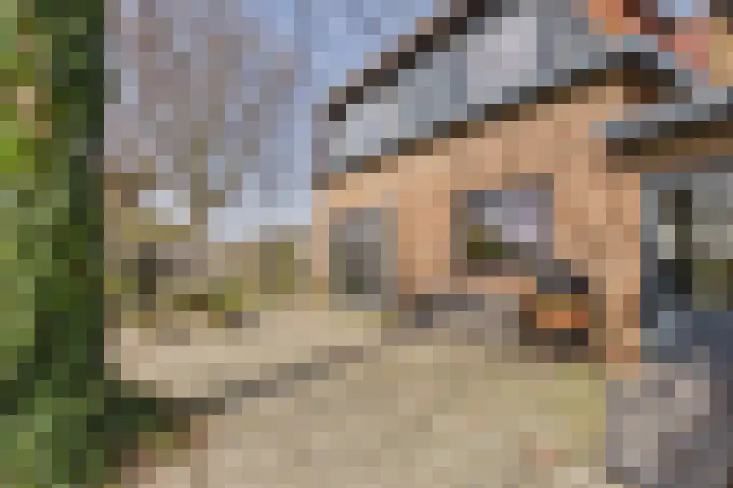 Zoutedijk 21 Kloosterzande thumbnail 29