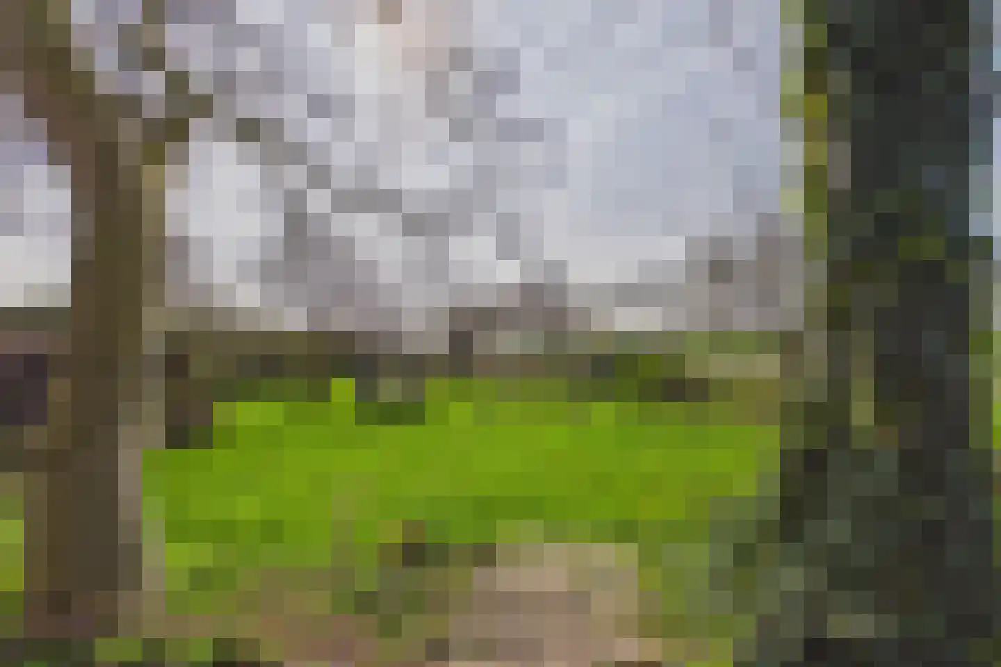 Zoutedijk 21 Kloosterzande thumbnail 35