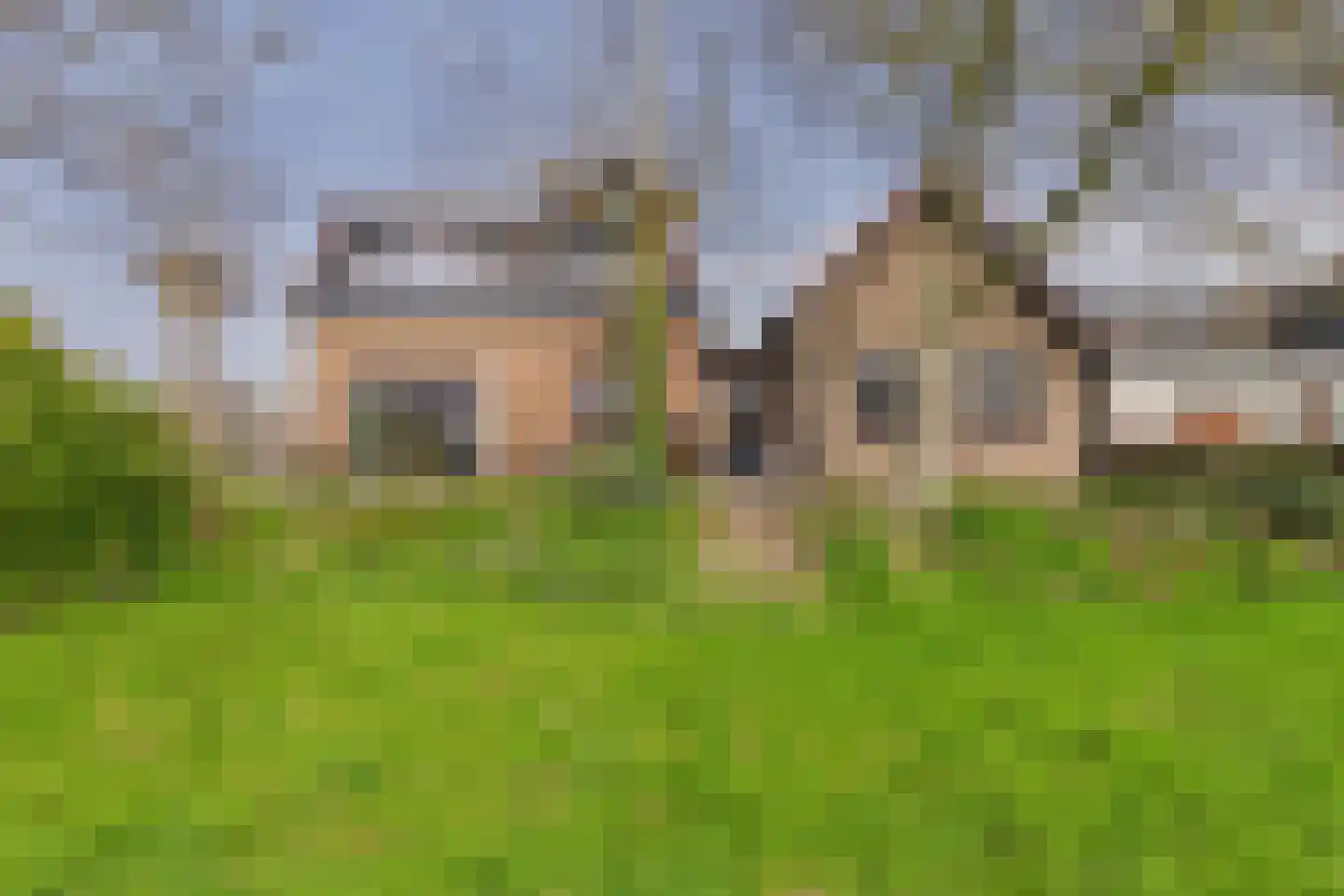 Zoutedijk 21 Kloosterzande thumbnail 6