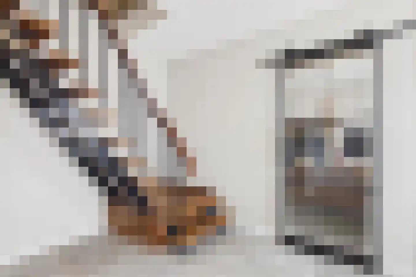 Zoutedijk 21 Kloosterzande thumbnail 9