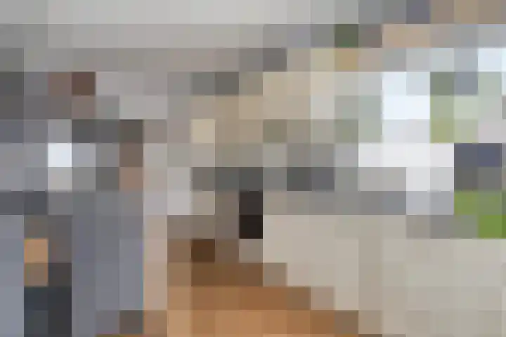 Zoutedijk 5 Kloosterzande thumbnail 13