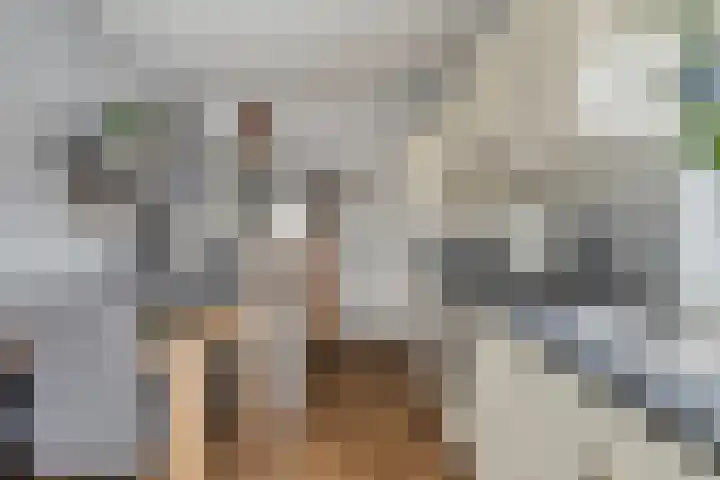 Zoutedijk 5 Kloosterzande thumbnail 14