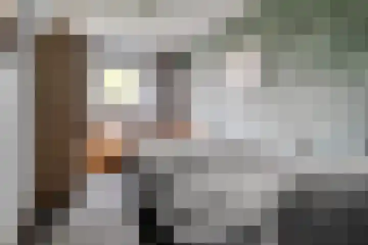 Zoutedijk 5 Kloosterzande thumbnail 17