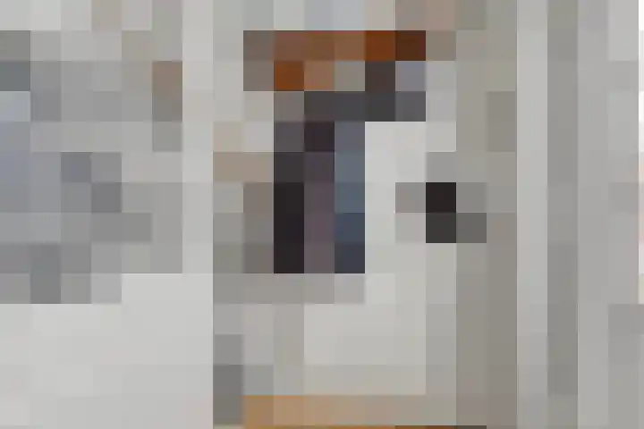 Zoutedijk 5 Kloosterzande thumbnail 18