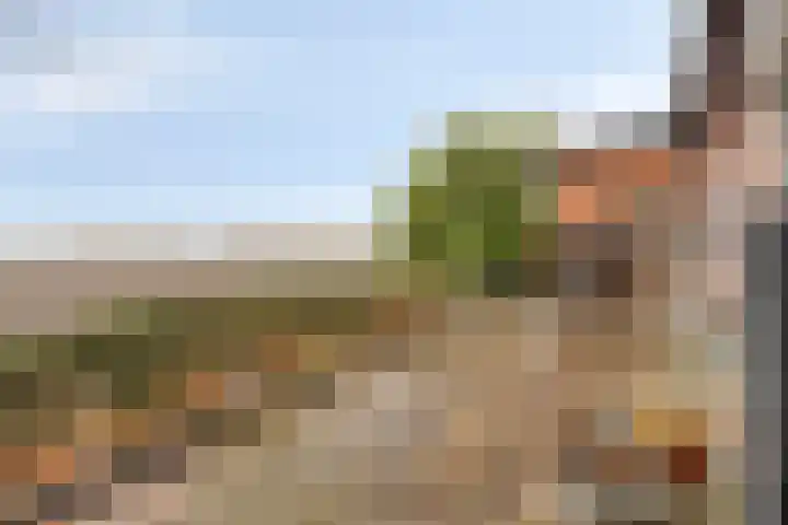 Zoutedijk 5 Kloosterzande thumbnail 26