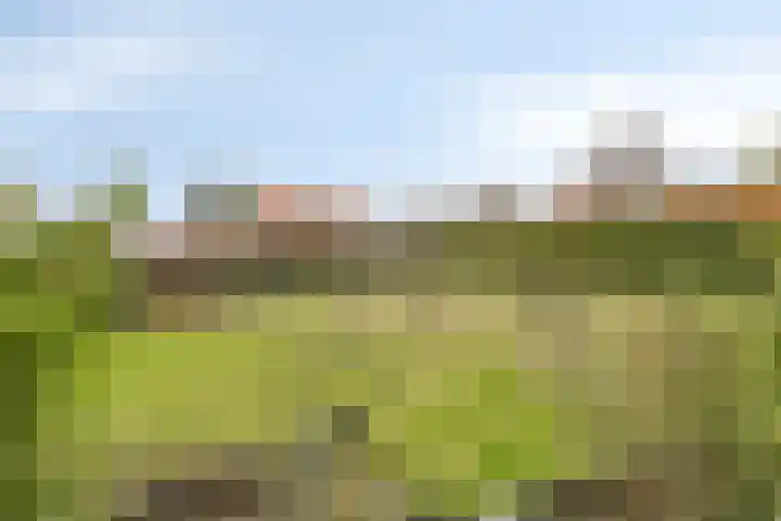 Zoutedijk 5 Kloosterzande thumbnail 27