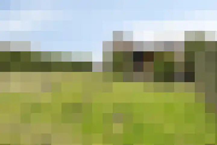 Zoutedijk 5 Kloosterzande thumbnail 28