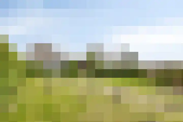 Zoutedijk 5 Kloosterzande thumbnail 29