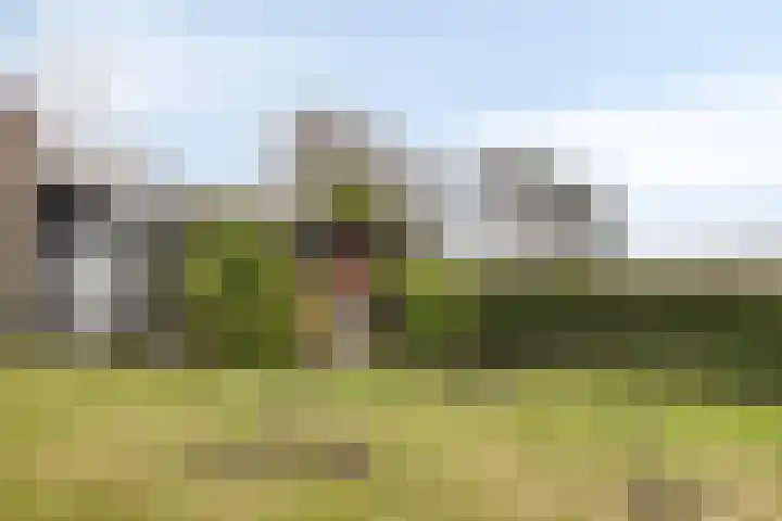 Zoutedijk 5 Kloosterzande thumbnail 30