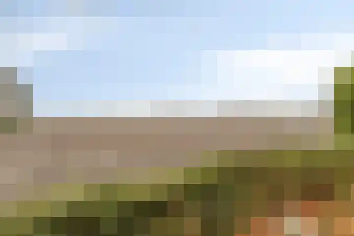Zoutedijk 5 Kloosterzande thumbnail 31