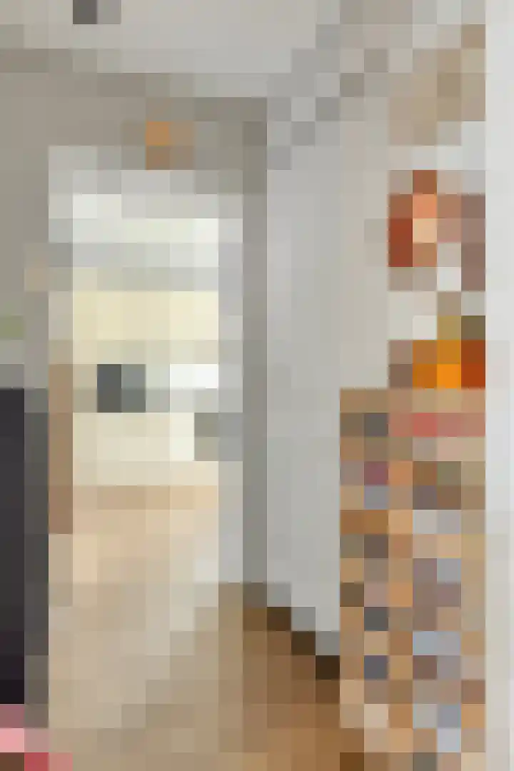Zoutedijk 5 Kloosterzande thumbnail 9