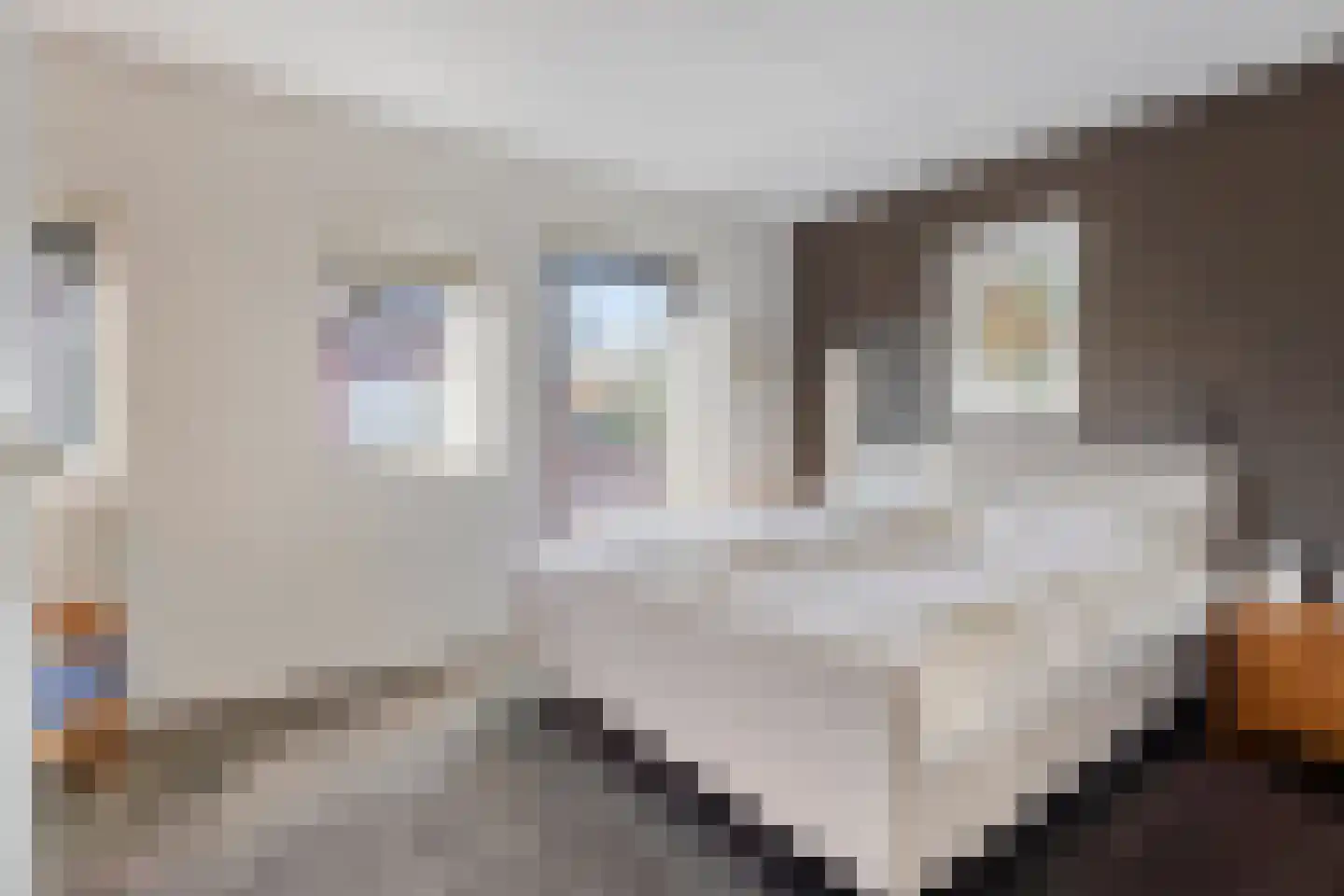 Zoutelandehof 13 Arnhem thumbnail 24
