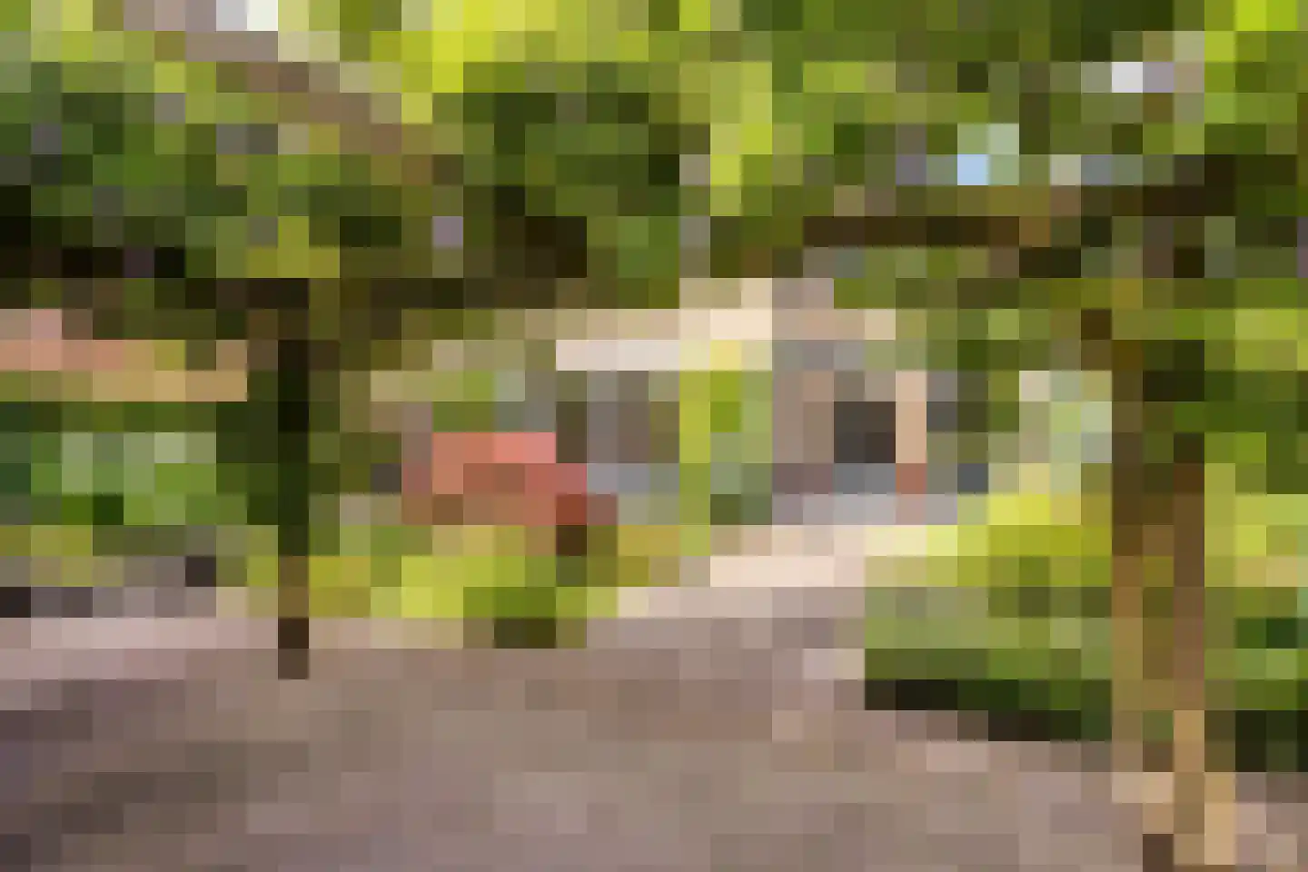 Zoutelandehof 13 Arnhem thumbnail 33