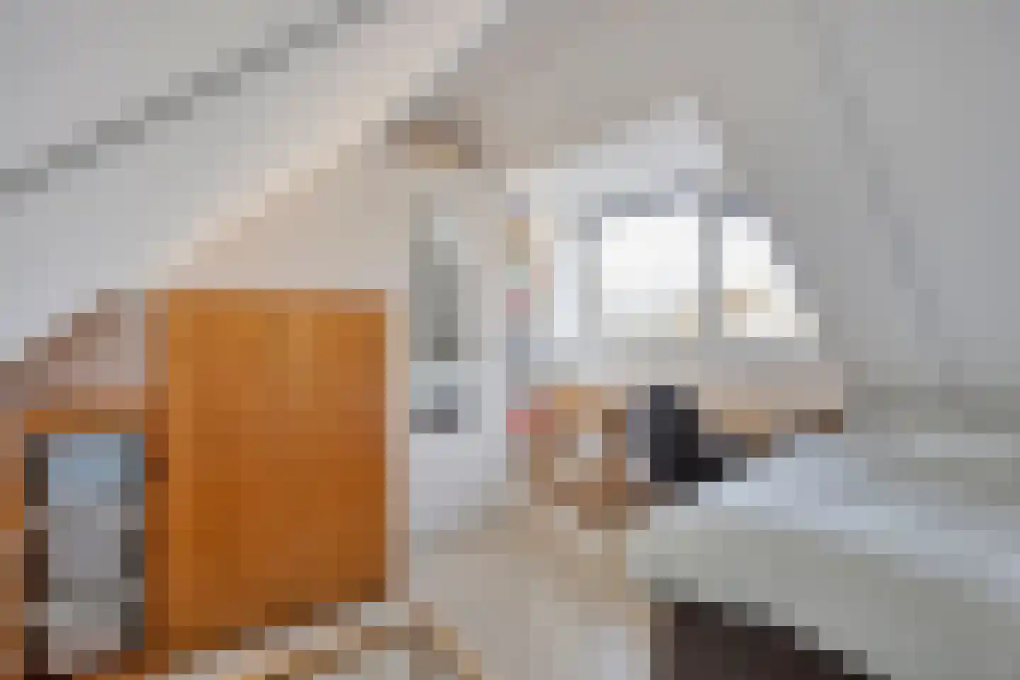 Zoutelandehof 13 Arnhem thumbnail 33