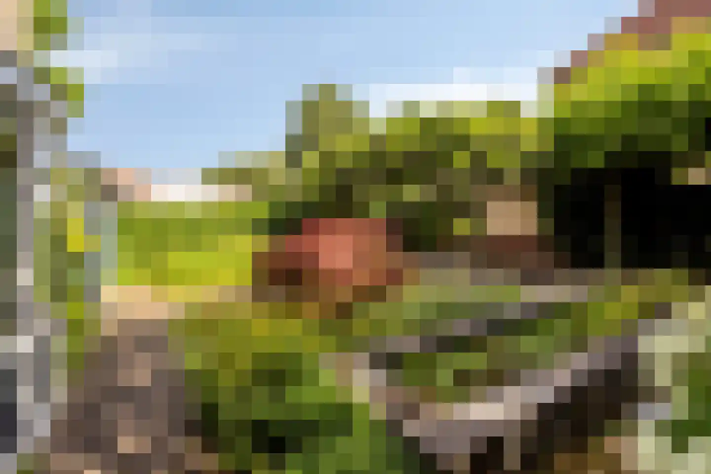 Zoutelandehof 13 Arnhem thumbnail 36