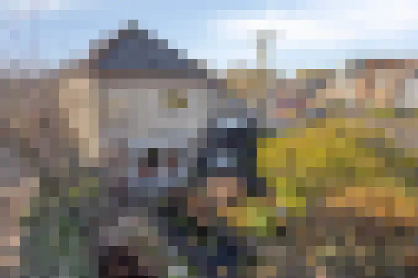 Zoutelandehof 13 Arnhem thumbnail 44