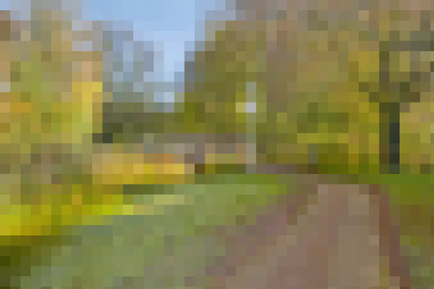 Zoutelandehof 13 Arnhem thumbnail 50