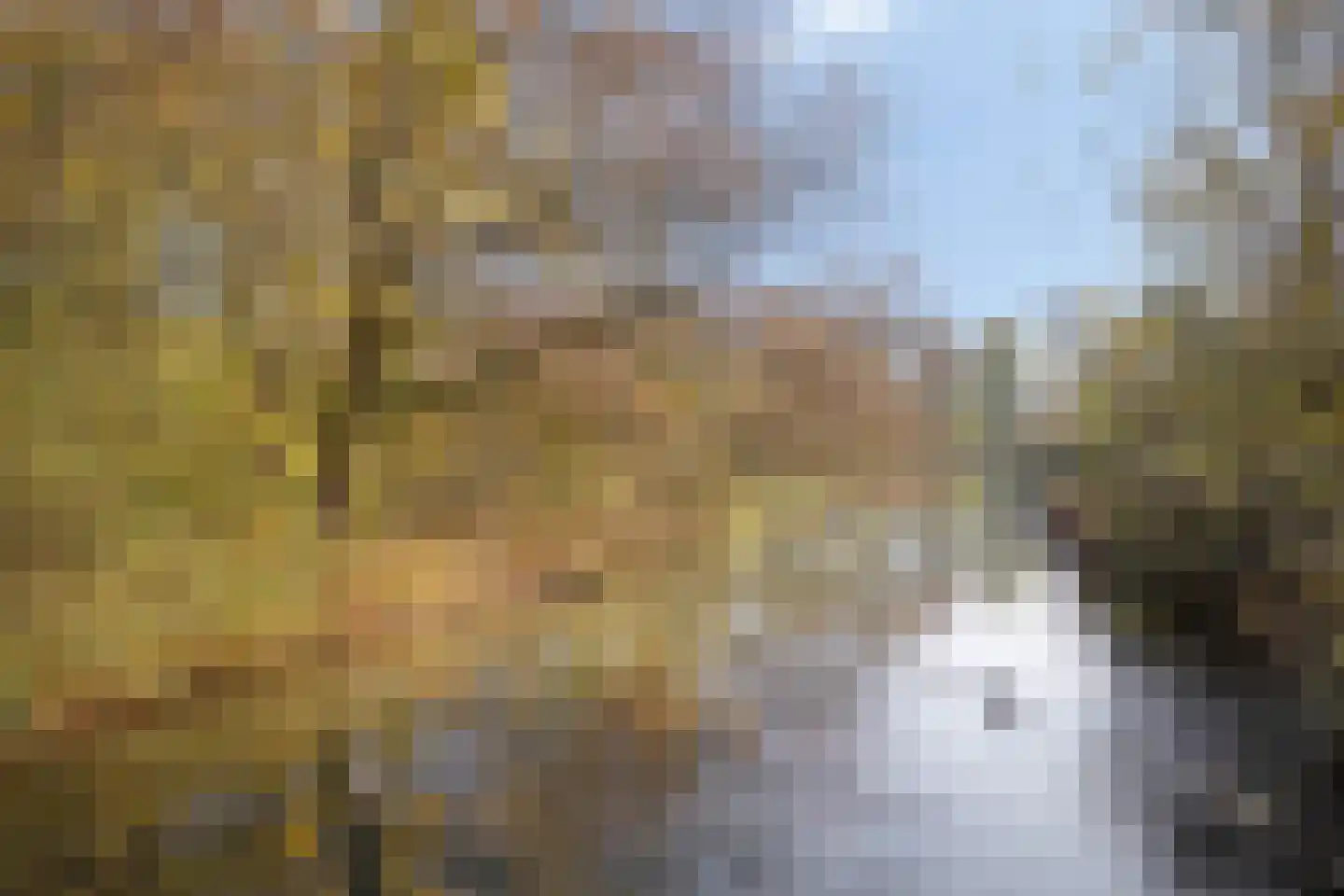 Zoutelandehof 13 Arnhem thumbnail 51