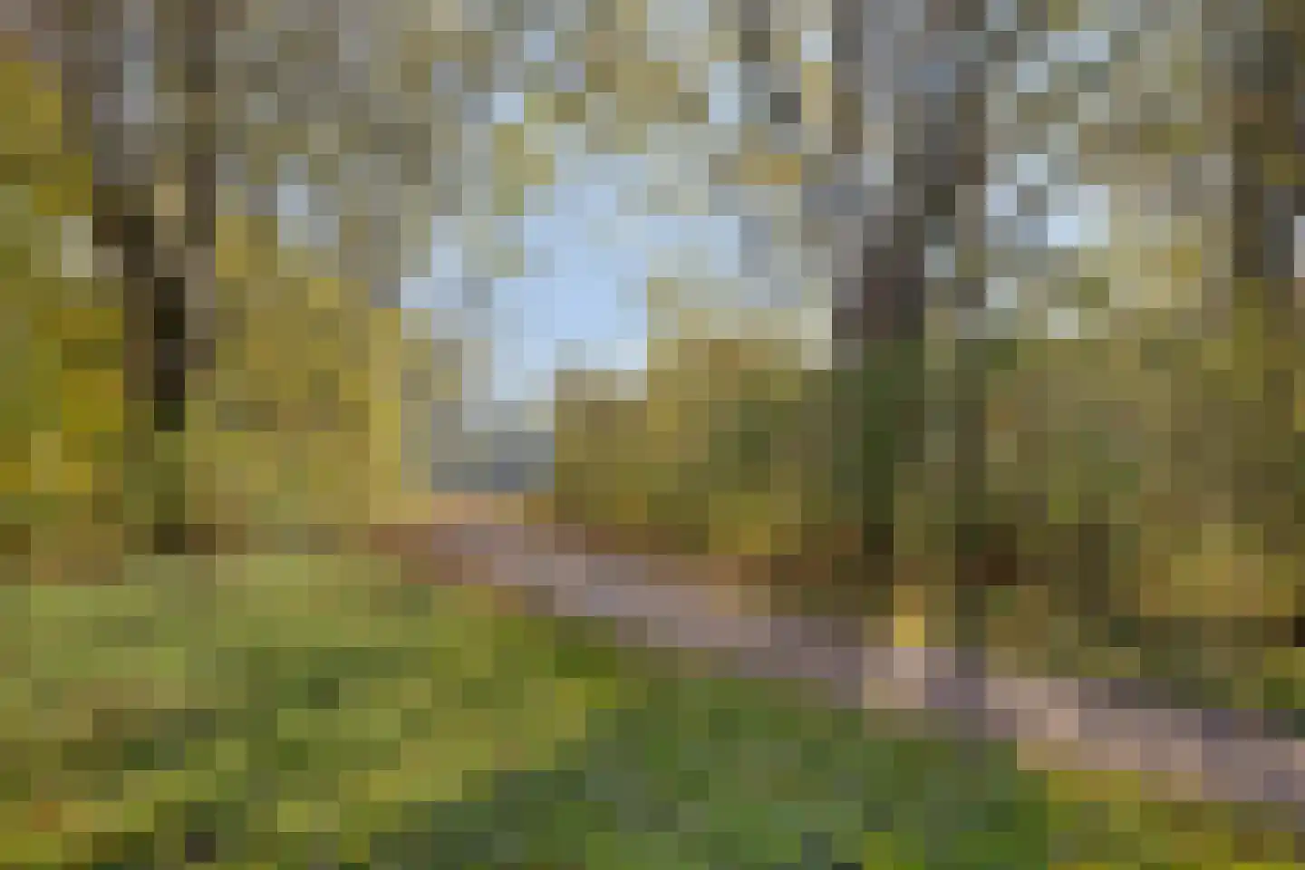 Zoutelandehof 13 Arnhem thumbnail 52