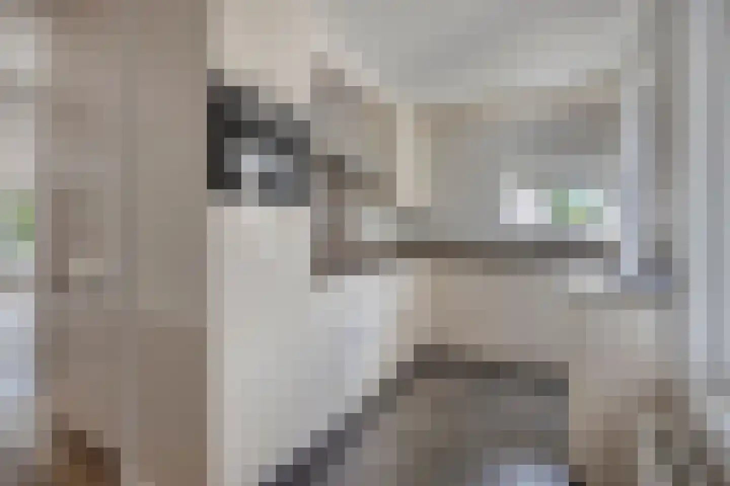 Zoutelandehof 13 Arnhem thumbnail 7