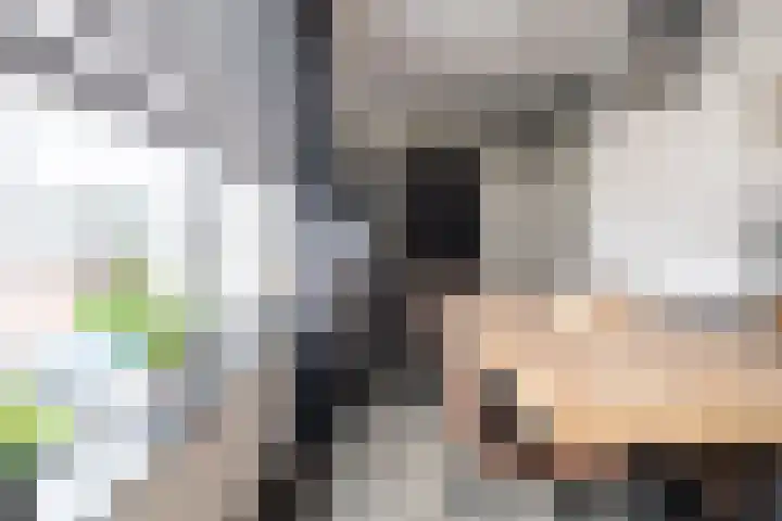 Zoutendijk 12 Hooge Zwaluwe thumbnail 15
