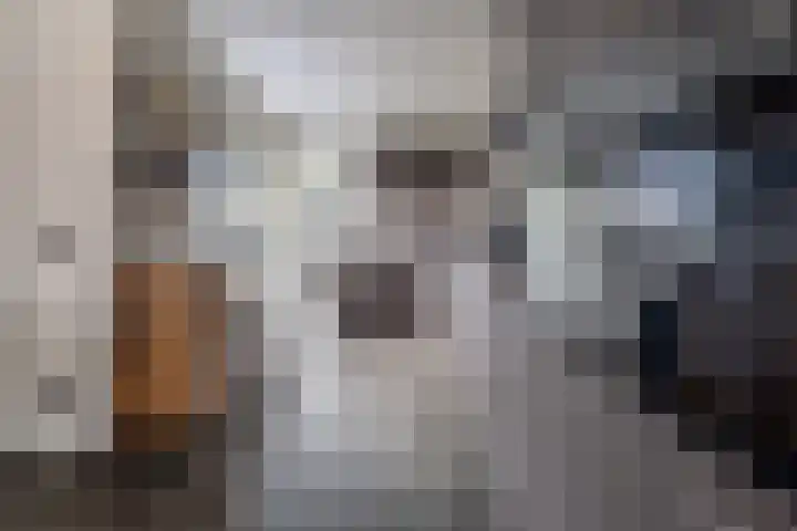 Zoutendijk 12 Hooge Zwaluwe thumbnail 18