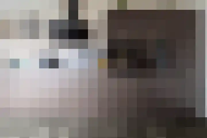 Zoutendijk 12 Hooge Zwaluwe thumbnail 19
