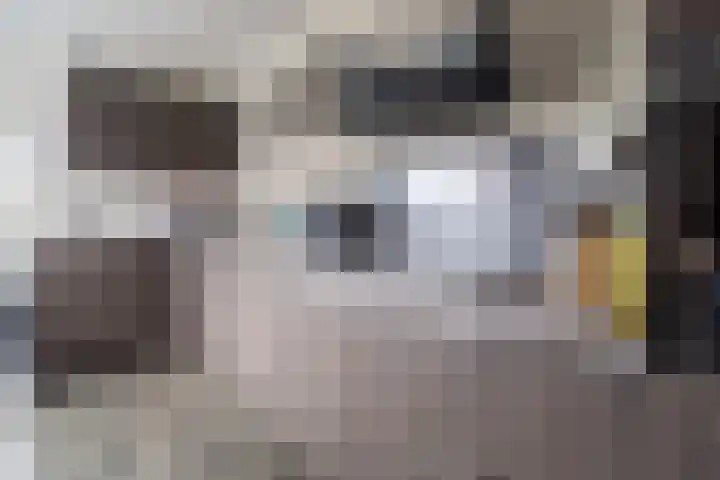 Zoutendijk 12 Hooge Zwaluwe thumbnail 20