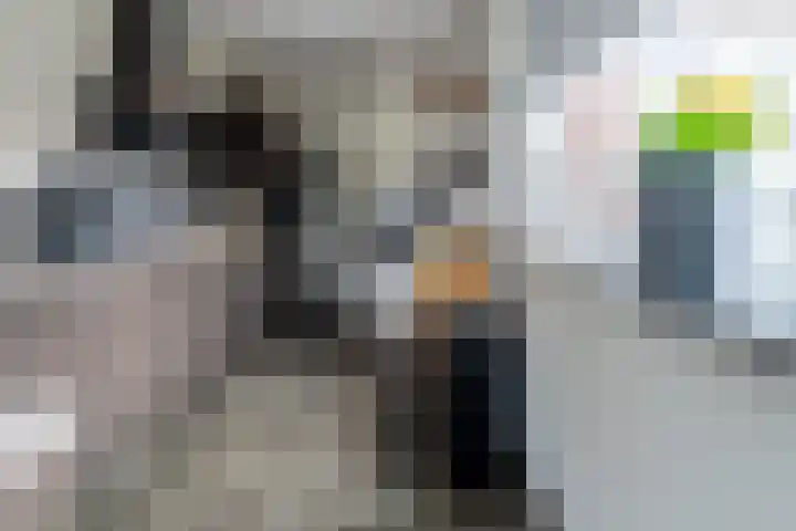 Zoutendijk 12 Hooge Zwaluwe thumbnail 22