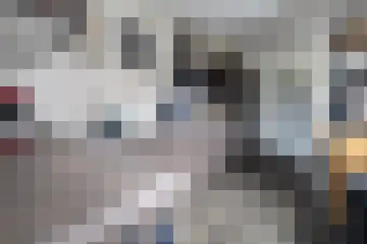 Zoutendijk 12 Hooge Zwaluwe thumbnail 23