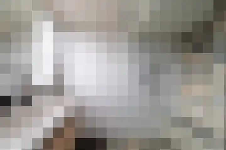 Zoutendijk 12 Hooge Zwaluwe thumbnail 37