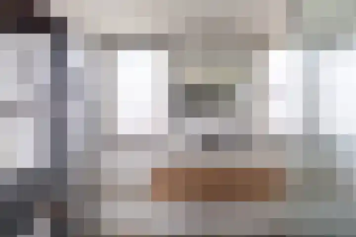 Zoutendijk 12 Hooge Zwaluwe thumbnail 4