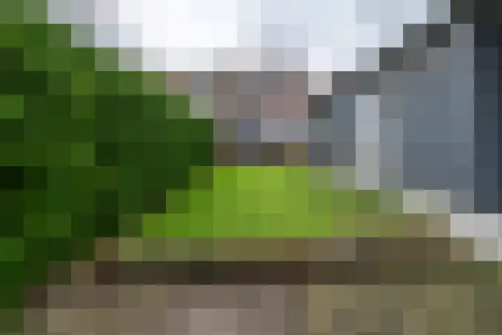 Zoutendijk 12 Hooge Zwaluwe thumbnail 45
