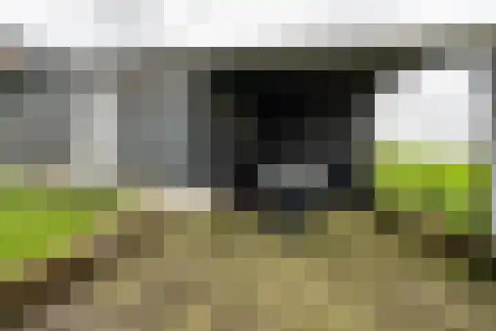 Zoutendijk 12 Hooge Zwaluwe thumbnail 46