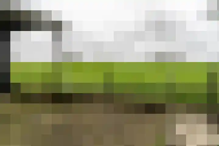 Zoutendijk 12 Hooge Zwaluwe thumbnail 48
