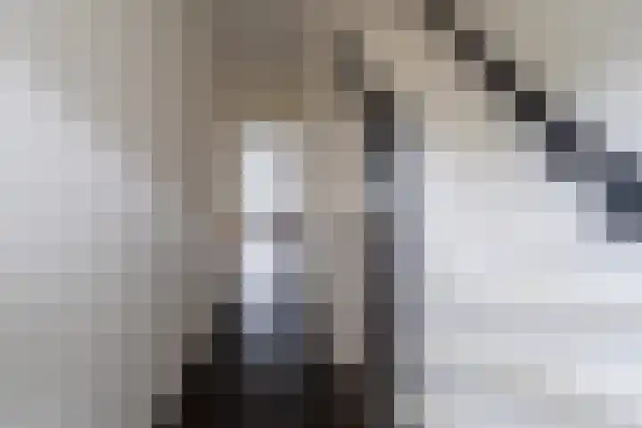 Zoutendijk 12 Hooge Zwaluwe thumbnail 6