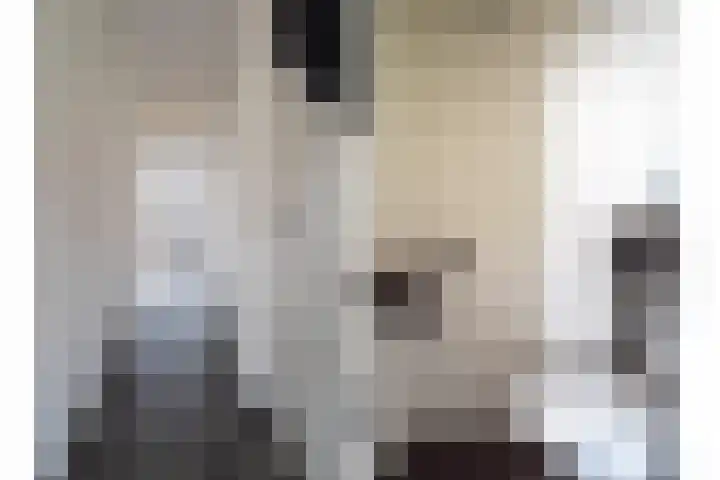 Zoutendijk 12 Hooge Zwaluwe thumbnail 7