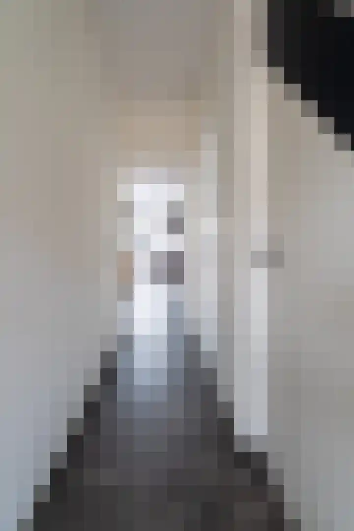 Zoutendijk 12 Hooge Zwaluwe thumbnail 8