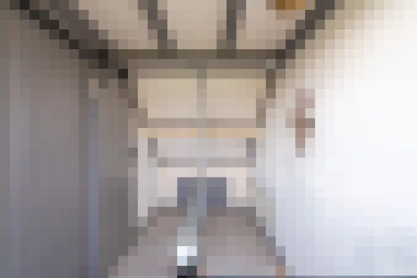 Zoutendijk 7 Hooge Zwaluwe thumbnail 27