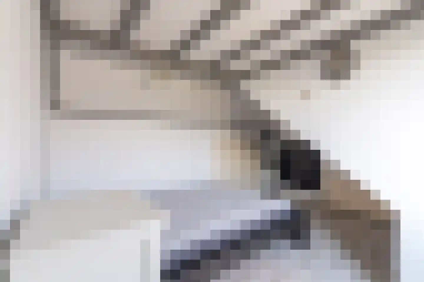 Zoutendijk 7 Hooge Zwaluwe thumbnail 32