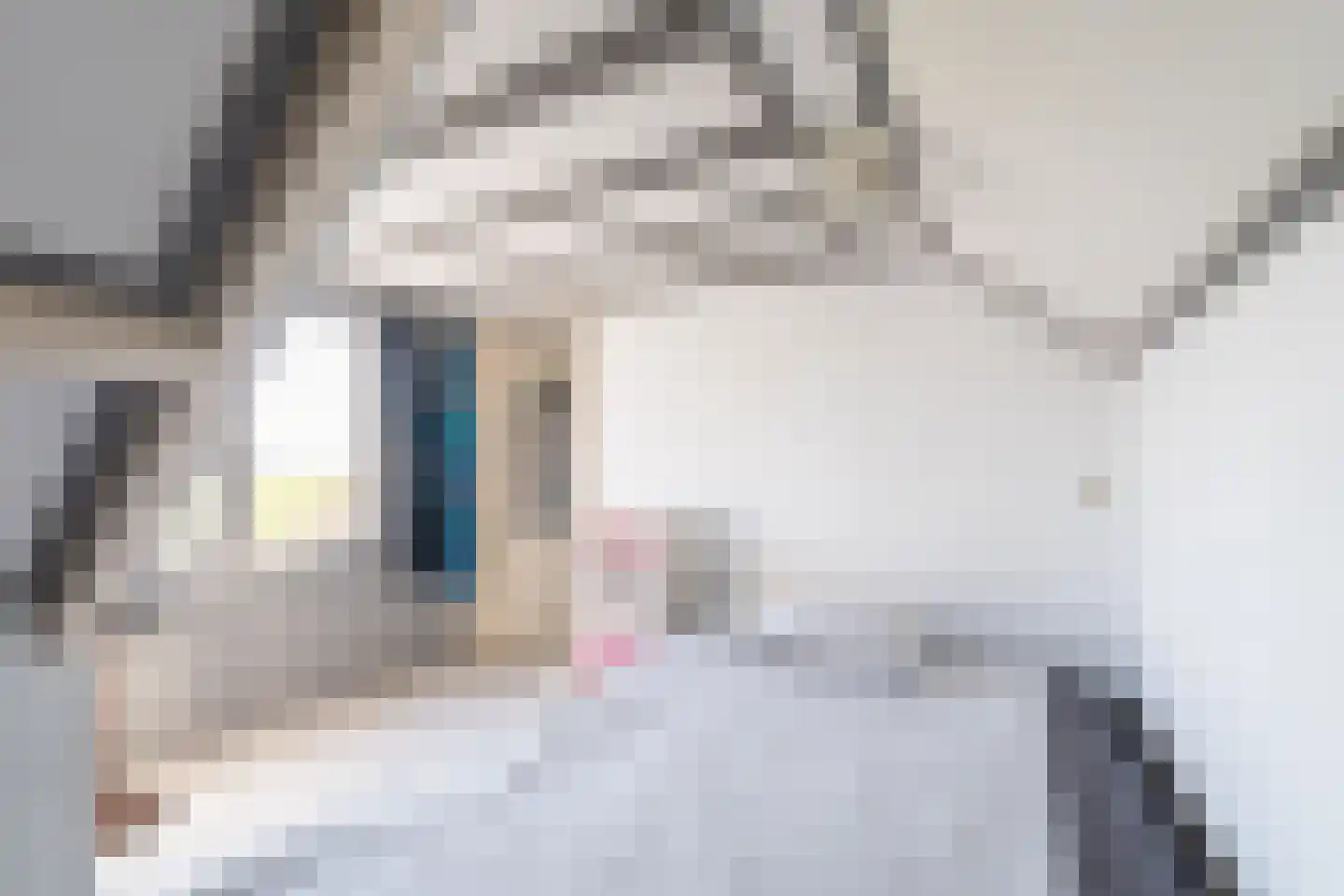 Zoutendijk 7 Hooge Zwaluwe thumbnail 33