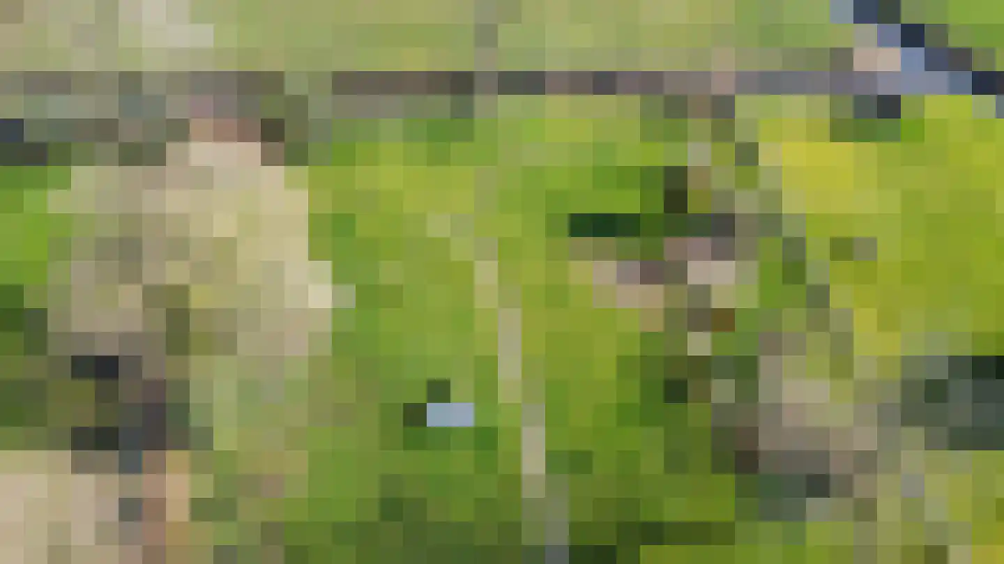 Zoutendijk 7 Hooge Zwaluwe thumbnail 49