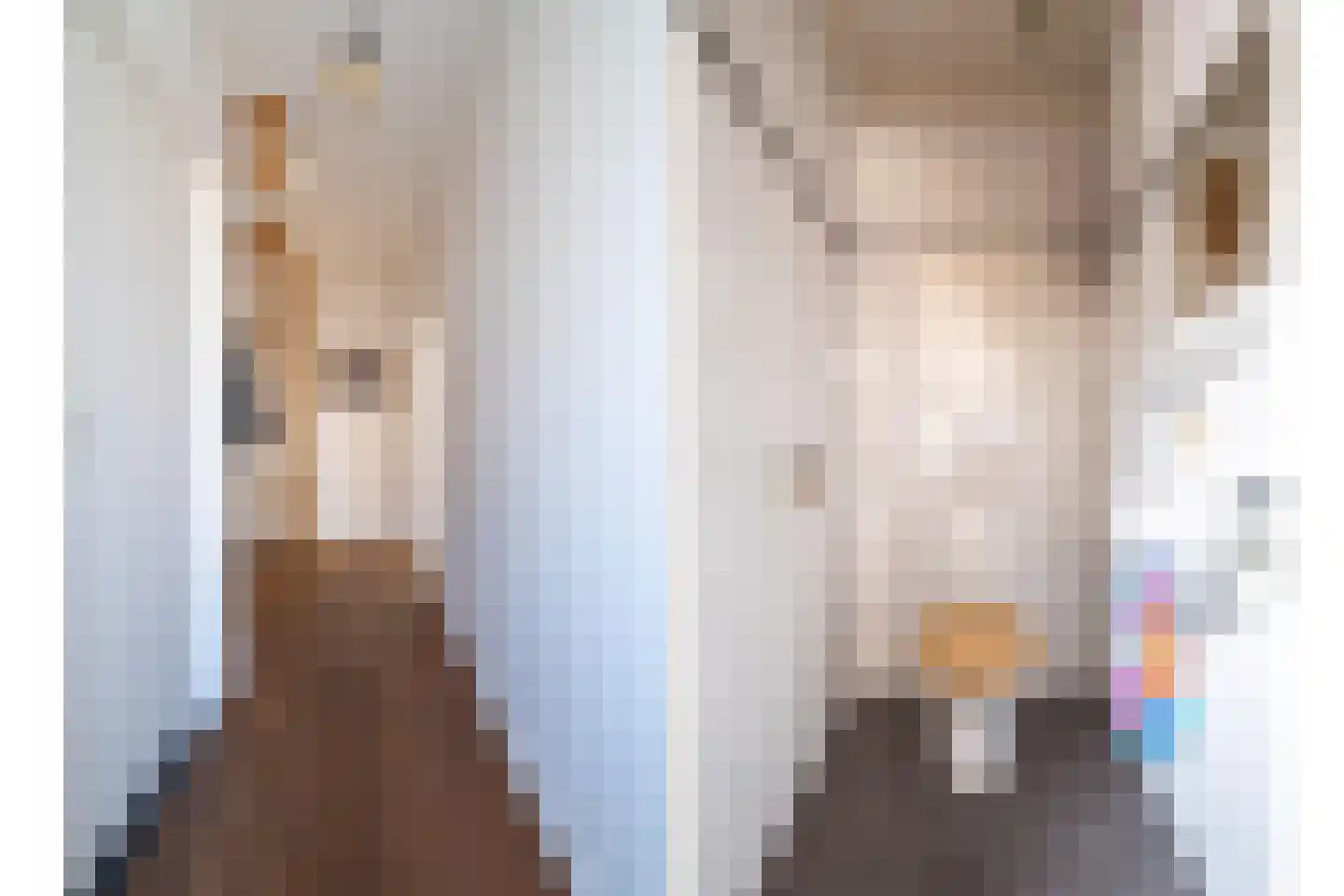 Zoutendijk 7 Hooge Zwaluwe thumbnail 5